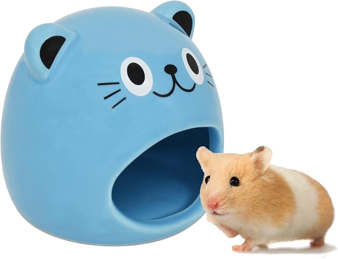 GKYZBB Blue Planet Hideout Ceramic,Hamster House and Habitats Cool Bed Ideal for All Season Dwarf Gerbil Mice Golden Bear