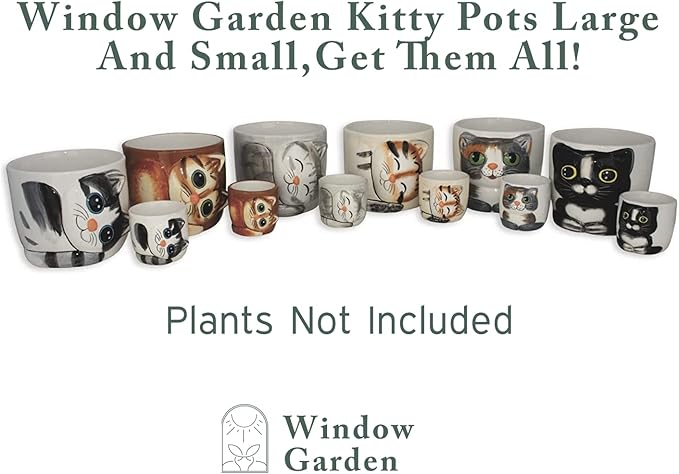 Window Garden Animal - Large Kitty Pot (Barney) Purrfect for Indoor Live House Plants, Succulents, Flowers and Herbs, Super for Cat Lovers, Cat
