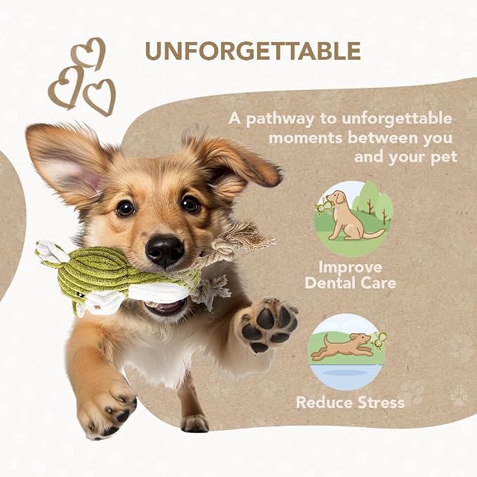 Eco-Bud Buddy Pet Toys for Dogs, Densely Woven Squeaky Dog Toys with Built-in Squeak, Long-Lasting and Durable, Recycled Plush Dog Squeaky Toys