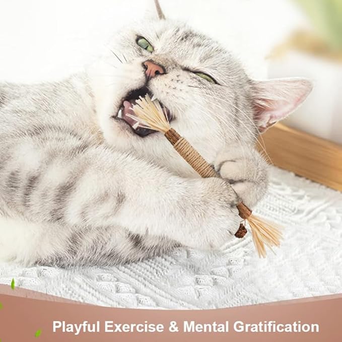 Silvervine for Cats: Cute Cat & Kitten Toys for Indoor Cats Interactive‖ Cat & Kitten Teething Chew Toys for Aggressive Chewers,Silvervine Sticks Cat Dental Toy (4PCS)