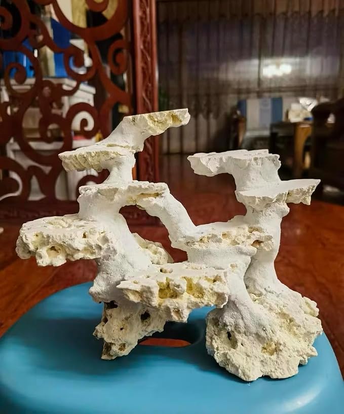 YZHZOM Dry Base Rock for Aquarium White Coral Ornament Sea Base Rocks for Aquarium Aquascaping (7lb,Mix Size & Shape)