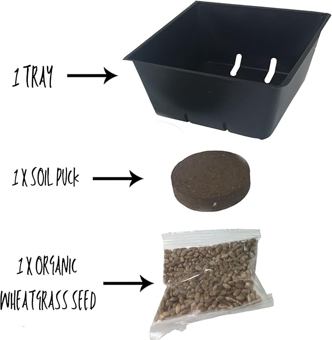Handy Pantry Organic Cat Grass Kit - Includes 1 Tray, 1 Soil Puck, and Non GMO Wheatgrass Seed - A Healthy Treat for Cats, Dogs, Rabbits, and More