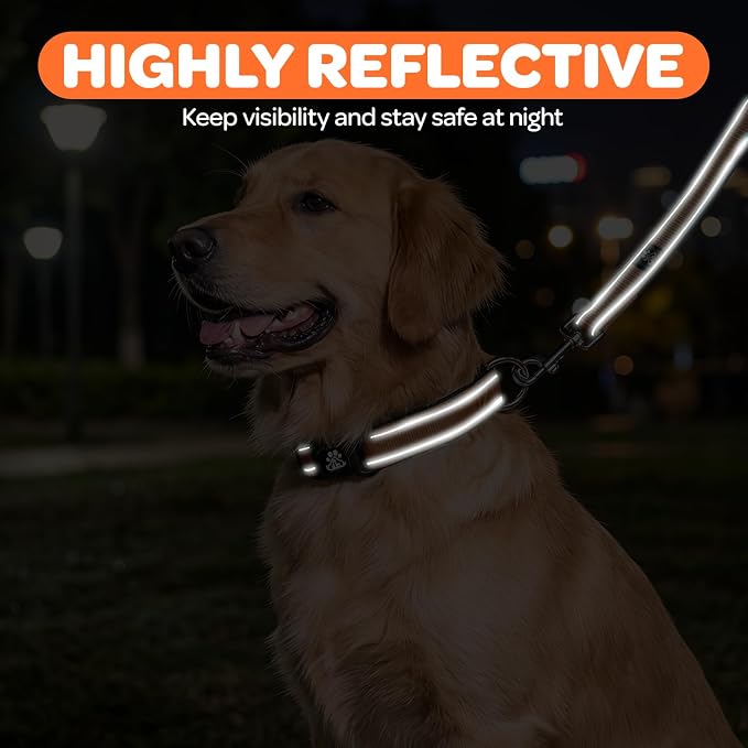 FURRYFECTION Reflective Dog Collar and Leash Set with Quick Release Buckle, Padded with Neoprene Adjustable Nylon Dog Collar for Small Medium and Large Dogs (Small Collar+5FT Leash, Orange)