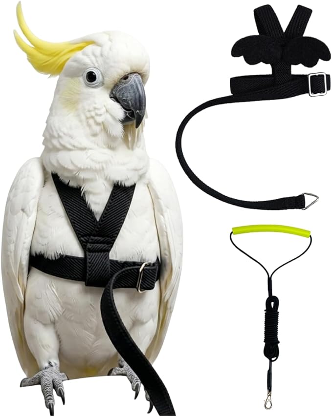 Adjustable Bird Harness with Elastic Leash, Pet Parrot Harness and Leash, Adjustable Training Design Anti-Bite, Bird Nylon Rope with Cute Wing for Conure (Black,Sulphur-Crested Cockatoo)