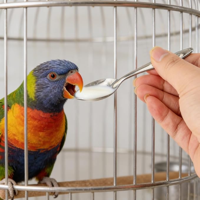 Automatic Bird Feeder No Mess Bird Cage Pet Feeder Multifunctional Parrot Feeders Transparent Food Container for Canaries (Color:Clear)