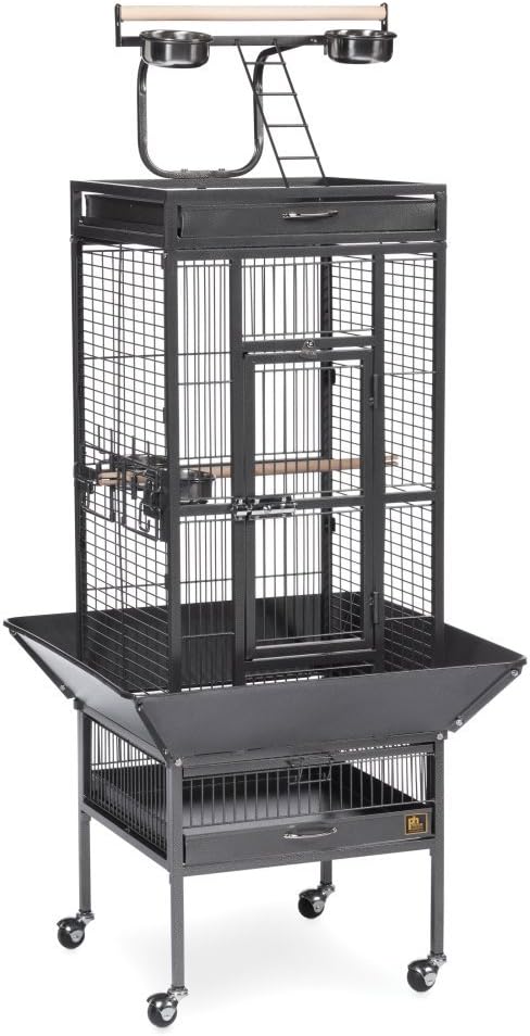 Prevue Pet Products Wrought Iron Select Bird Cage - Durable Steel Cage with Rolling Stand and Seed Guards, Ideal for Cockatiels and Medium Birds - Black Hammertone