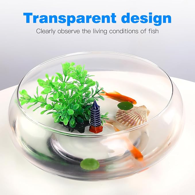 VANZACK Clear Betta Tank Desktop Aquarium Tank for Home Office Decor Transparent Fish for Plants and Aquatic Pets 9.52 X 9.52 X 3.93 in 1 Fish