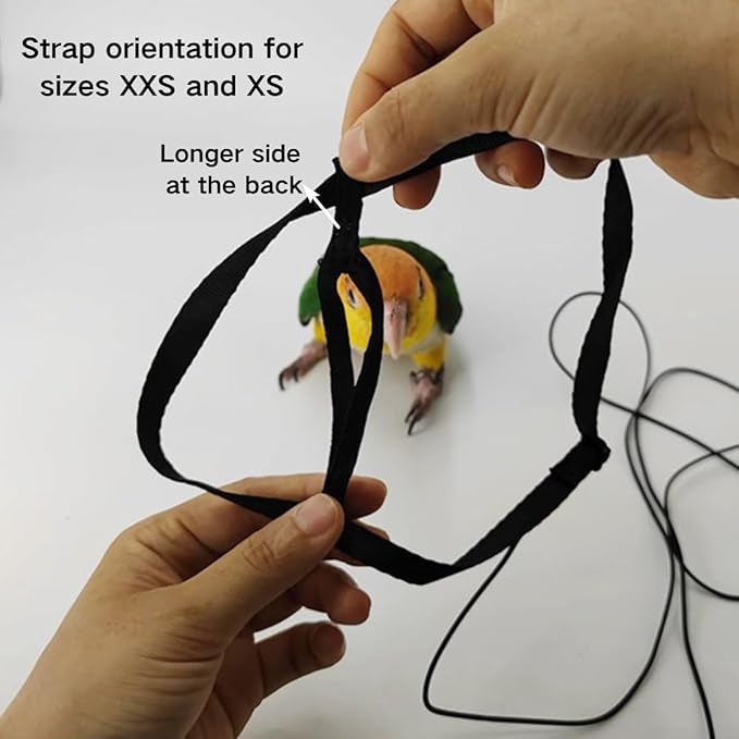 Adjustable Bird Harness and Leash for Parrots Outdoor Flight Training Anti-Bite Light Weight Easy-to-Wear Bird Vest with 59 Inch Elastic Leash for Quaker Conure African Grey Macaw Cockatoo (L)