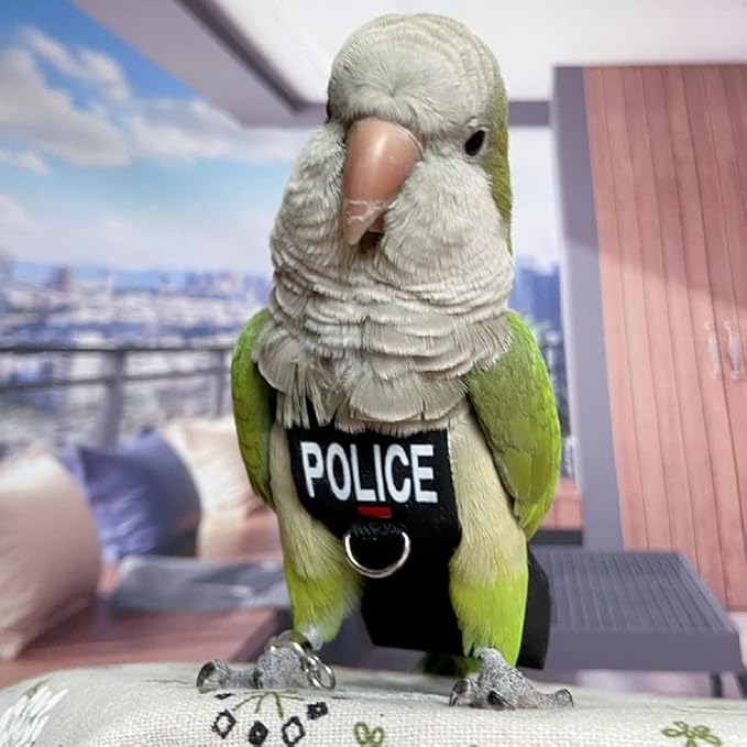 Bird Clothes Parrot Diapers Bird Flight Suits, Reusable Waterproof Diapers pet Bird Supplies (5XL)