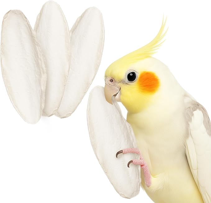 SunGrow 4 Pack Large 6-inch Cuttlefish Bones for Cockatiels, Turtles, Shrimp, Calcium for Beak Trimming, Cuddle Bone for Sharp Beaks, Calcium Block Stone for Egg-Laying Birds
