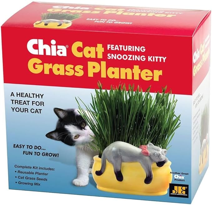 Chia Pet Kitty Cat Grass, Decorative Pottery Planter, Easy to Do and Fun to Grow, Novelty Gift, Perfect for Any Occasion