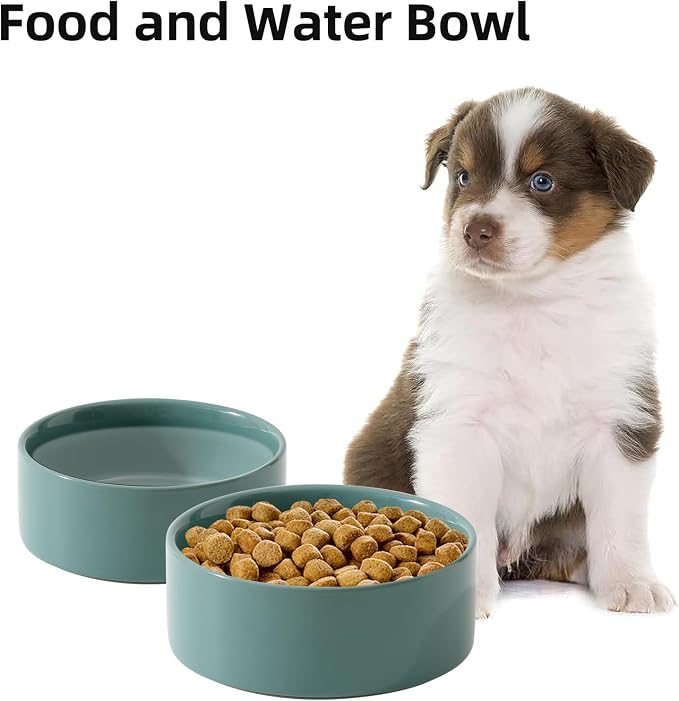 Havniva Cat Bowls Water Bowl Set of Two, 6.1” Ceramic Cat Food and Water Bowl Whisker Friendly Pet Food Bowls for Indoor Cats, Wide Cat Water Dish Prevent Whisker Fatigue Non Slip Cat Feeder