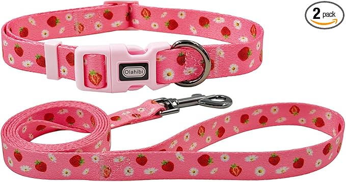Dog Collar Leash Set, Floral Pattern, Polyester Material, Adjustable Collar and 5ft Matchcing Leash, for Medium Dogs.(M,Daisy and Strawberry)