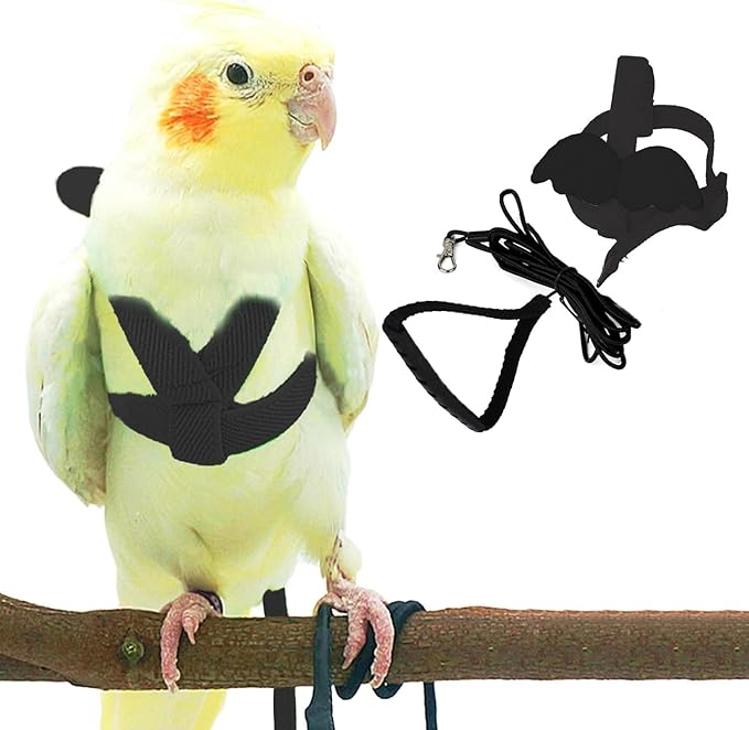 Birds Harness Leash Outdoor Flying Escape-Proof Adjustable Training Design Anti-Bite Bird Rope with Cute Wing for Parrots Scarlet Keck Mini Macaw Love Birds (Black)