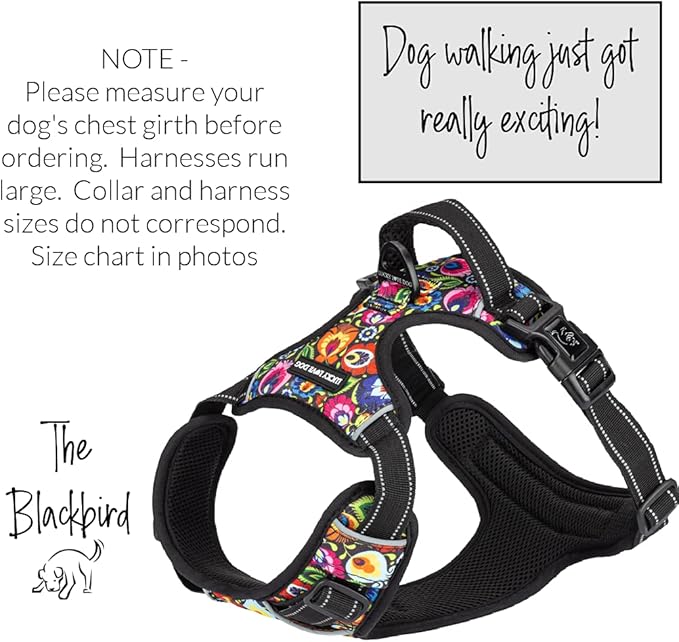 Lucky Love Dog No Pull Dog Harness, Adjustable and Easy to Walk, Cute Patterned Harness for Small Male & Female Dogs - Blackbird, XS