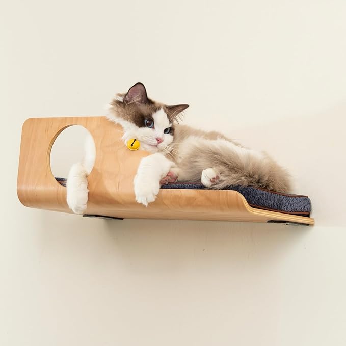 LIORCE Cat Wall Shelves, Creative Design Cat Shelf with Peephole, 19 x 10 inch Cats Wall Furniture with Comfortable Pad, Cats Perch for Sleeping, Playing, and Scratching.