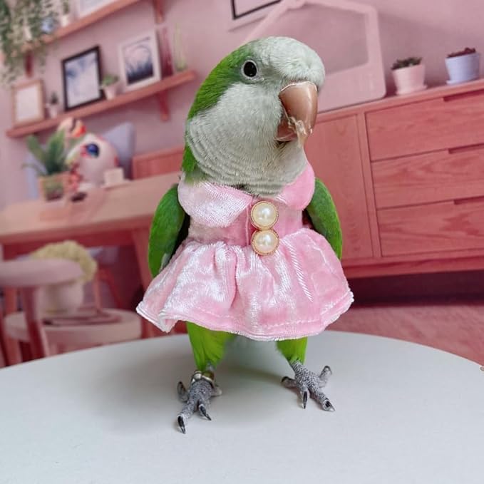 Bird Costume Bird Diaper Flight Suit Parrot Velvet Fleece Skirt Clothes Cosplay Photo Prop for Conure Lovebird Parakeet Cockatiel Macaw Small Animals Apparel (Pink,Medium)