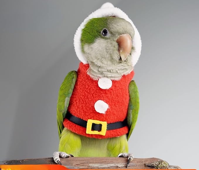 Bird Clothes Birds Flight Suit, Christmas Hoodie for Parrots Cockatiel Sun Conure Christmas Party Cosplay Photo Prop Bird Shirt Small Animals Apparel (Without Diaper,Blue Quaker)