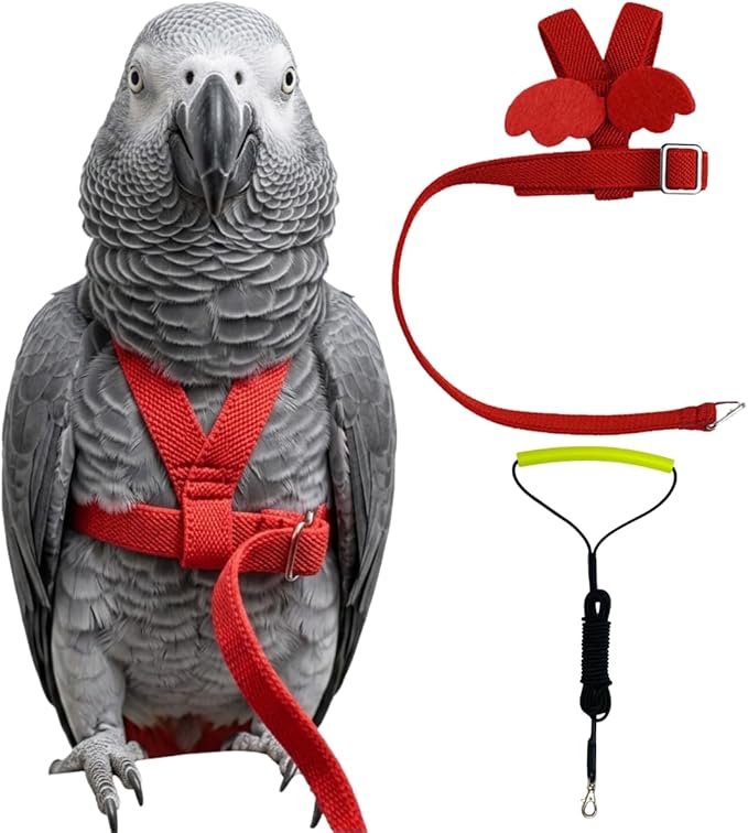 Adjustable Bird Harness with Elastic Leash, Pet Parrot Harness and Leash, Adjustable Training Design Anti-Bite, Bird Nylon Rope with Cute Wing for Conure (Red,XXL)