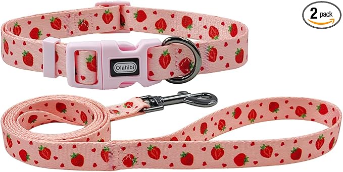 Dog Collar Leash Set, Fruit Pattern, Polyester Material, Adjustable Collar and 5ft Matching Leash, for Puppy Dogs.(XS, Strawberry)
