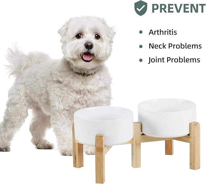 Havniva Ceramic Raised Double Bowls Set with Stand, 2 Heights Elevated, Food & Water Bowls for Small Breed Dogs, Weighted Dog Dishes, Pet Bowl(6.1'',28.7oz, White)