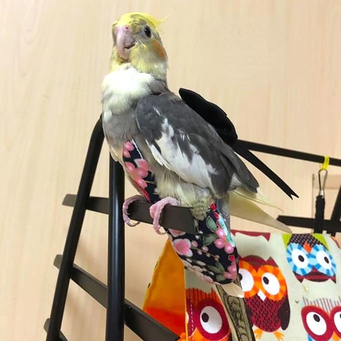 Bird Flight Suits Diapers, Parrot Flight Suits Diapers for Quaker Parakeets Cockatiels Flight Suits, Parrot Clothes (Almond B,M)