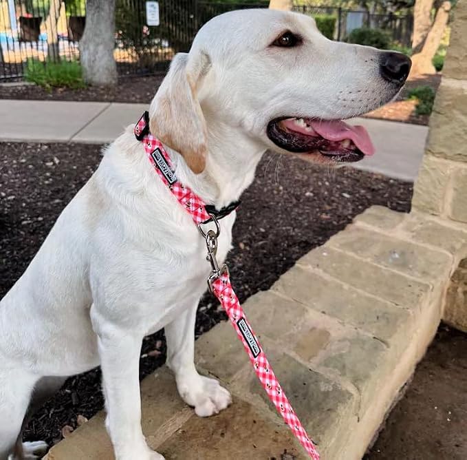 Lucky Love Dog - Easy Click Buckle Dog Collar with Leash Set Combo, Durable & Comfortable for Male & Female Dogs, Pet Collar for Large Dogs, Secure Fit - Bailey Combo, Large
