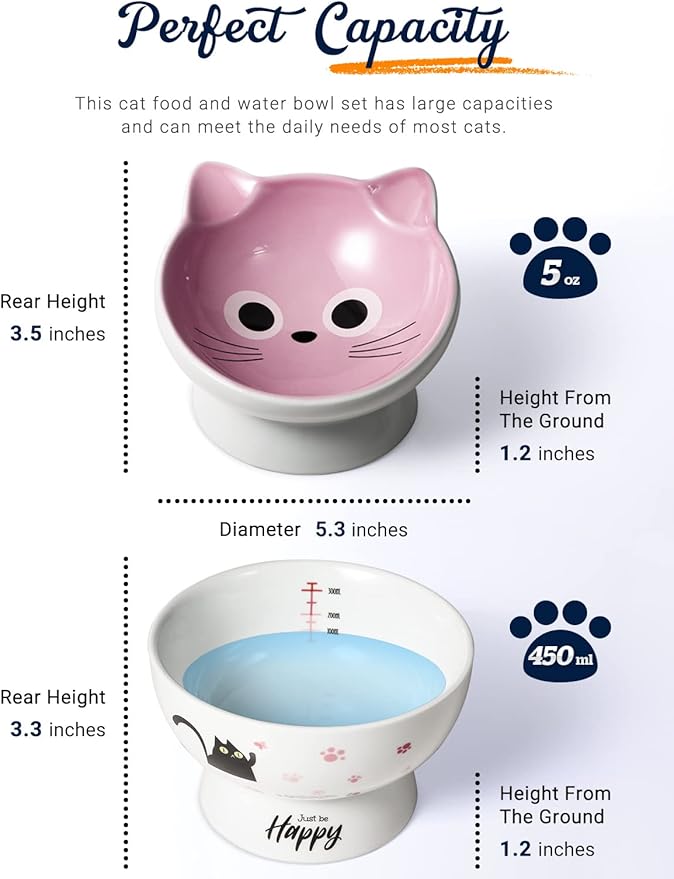 AISBUGUR Ceramic Cat Bowls Set of 2, Elevated 15 Tilted Design for Indoor Cats, Large Capacity, Easy to Clean, Non-Slip Base, Cute Pattern,Pink