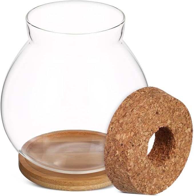 Desktop Hydroponic Fish Bowl Glass Terrarium for Betta Fish with Bamboo Base Small Aquarium for Home Office Decoration