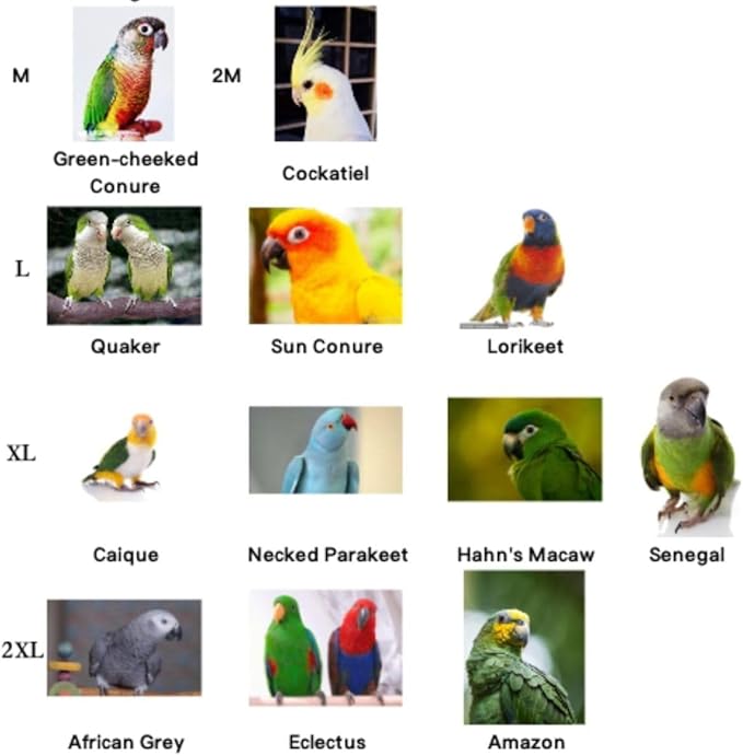 Bird Costume Bird Diaper Flight Suit Cute JK Dress Dress Skirt Clothes Cosplay Photo Prop for Parrots Macaw Cockatoo (with Diaper,M)