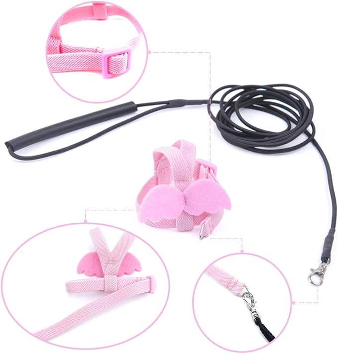 Bird Harness Leash Kit for Walking, Durable Outing Gadget Adjustable Flying Training Rope Strap, Traction Rope for Parrot, Cockatiel, Parakeet, Lory, Conure..