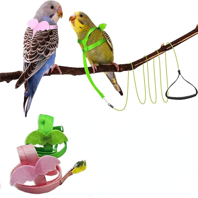 Pet Parrot Bird Harness and Leash, Adjustable Training Design Anti-Bite, Bird Nylon Rope with Cute Wing for Parrots, Suitable for Macaw Cockatoo Cockatiel Lovebird Conure African Grey (Pink,XS)