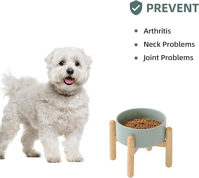 Havniva Ceramic 6.1inch Raised Dog Bowl with Stand for Small and Medium Dog Dish Pet Food and Water Bowl (Single Bowl with Stand - Light Green)