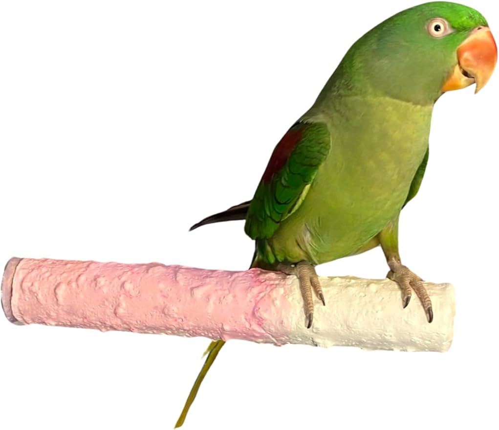 Polly's Edible Cuttlebone Calcium Bird Cage Perch for Budgies, Parakeets, Amazons, Blue & Golds, Macaws and Cockatoos.… (Strawberry, Large)
