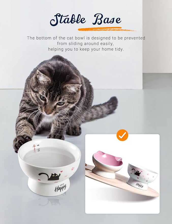 AISBUGUR Ceramic Cat Bowls Set of 2, Elevated 15 Tilted Design for Indoor Cats, Large Capacity, Easy to Clean, Non-Slip Base, Cute Pattern,Pink