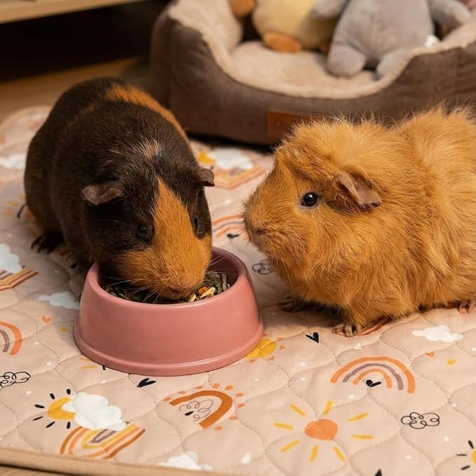 Guinea Pig Bedding, 49x24in 2 Pack Washable Guinea Pig Cage Liners, Waterproof Reusable & Anti Slip, Super Absorbent Guinea Pig Pee Pad for Midwest Cage, Small Animal, Rabbit, Bunny, Beige
