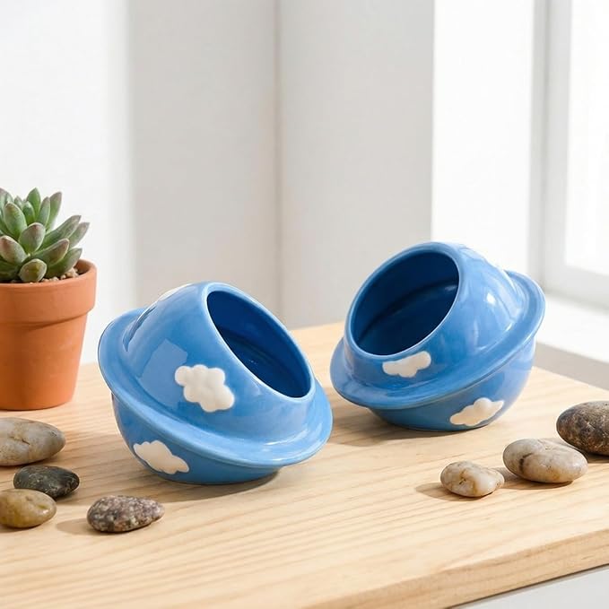 Ceramics Hamster Hideout Planet-Shape Guinea Pig Bed Cute Cool Summer Cage for Small Animal Dwarf, Gerbil, Squirrel (Blue)