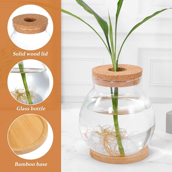 ibasenice Desktop Aquarium Fish Bowl Small Glass Betta Fish Tank with Bamboo Cushion Mini Aquarium for Hydroponic Plants Desktop Decor Office Home and Table Display