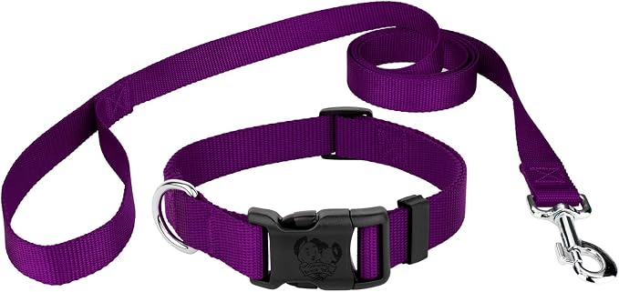Country Brook Petz - Everyday Nylon Dog Collar and Leash - 10+ Cool Colors (1 Inch, Large, Purple)