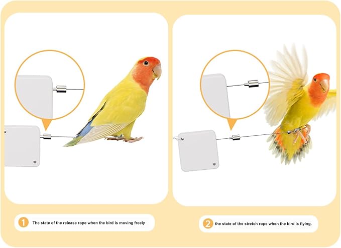 Bird Flying Harness - Parrot Rope, Comfortable Foot Loop, Strong Elastic Lead | Secure Outdoor Leashes for Conure Cockatoo Budgies Parakeet Macaw Parrotlet Daily Flying Training Walking Adventure