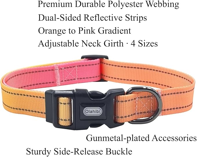 Dog Collar Leash Set, Gradient Color, with Safety Reflective Strips, 5 ft Matching Leash, Neoprene Padded Handle, Adjustable 4 Sizes for Small Medium Large Dogs.(L, Orange Pink)