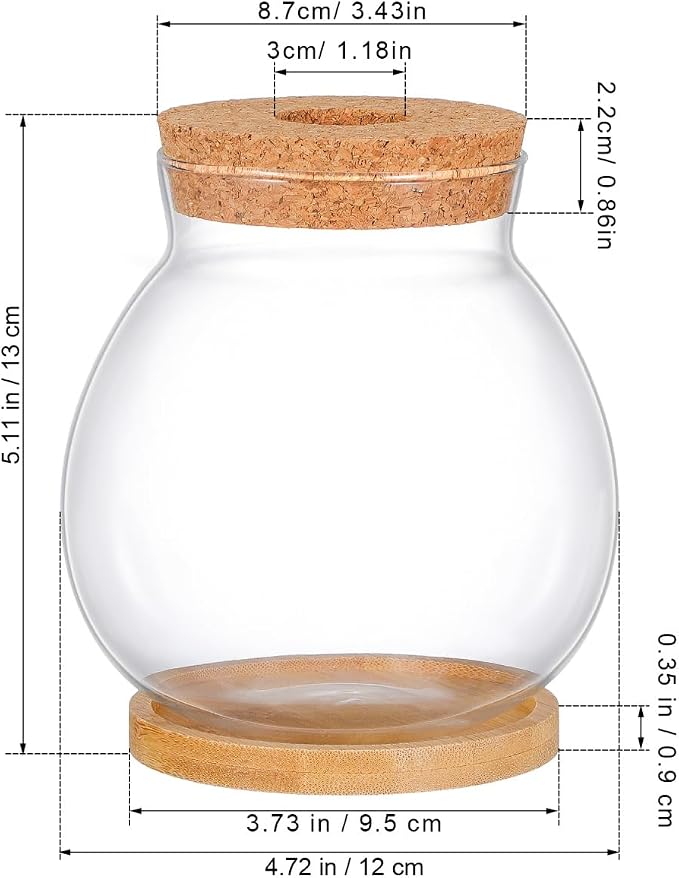 BESTOYARD Desktop Fish Bowl Hydroponic Terrarium Small Glass Fish Tank with Bamboo Cushion Betta Bowl for Desk Table Shelf Plant Display Home Office Party Decor