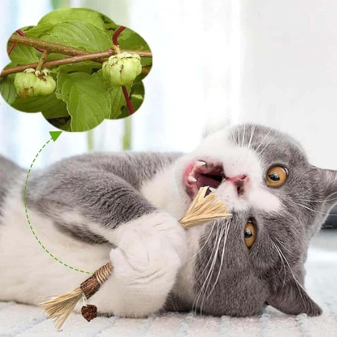Natural Silvervine Dental Sticks, Silvervine Sticks for Cats, Natural Silvervines Stick Cat Chew Toy, Promote Dental Health, Engage & Entertain (2PCS)