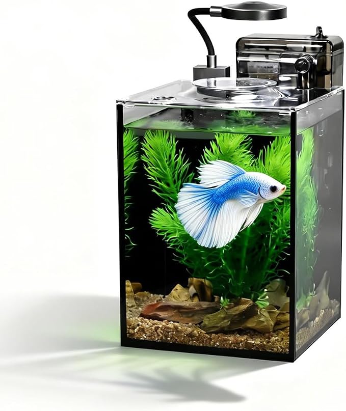 1.2 Gallon Fish Tank with Light,Filter,Lid,Landscape Accessories | Tall Fish Tank,Aquarium Starter Kit,Ultra-Clear Glass Aquarium,for Small Fish,Shrimp,or Betta