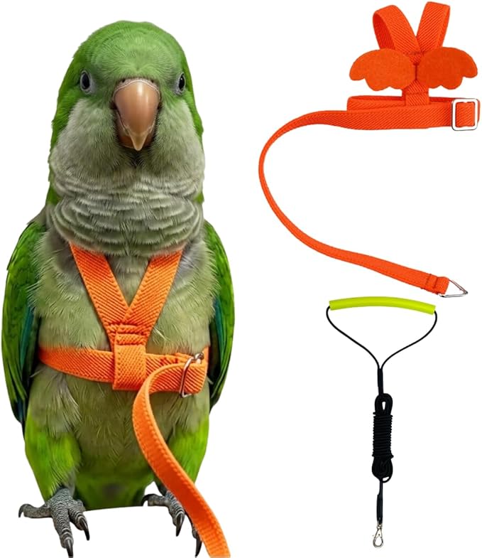 Adjustable Bird Harness with Elastic Leash, Pet Parrot Harness and Leash, Adjustable Training Design Anti-Bite, Bird Nylon Rope with Cute Wing for Conure (Orange,L)