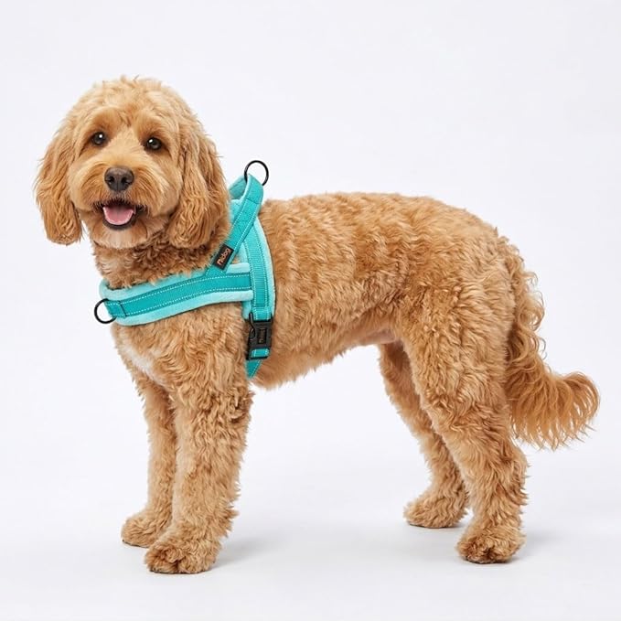 Didog Soft Flannel Padded Dog Vest Harness, No Pull/Quick Fit Reflective Dog Strap Harness, Easy for Training Walking (S:Chest 18-22", Green)