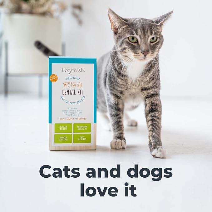Oxyfresh Premium Pet Dental Kit for Dogs & Cats – Easiest Breath Freshener & Teeth Cleaning Solution for Fresh Breath, Clean Teeth, Plaque & Tartar Control – 4oz Toothpaste + 16oz Water Additive