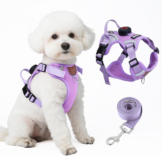 Large Cat Harness and Leash Set with Holder Compatible with AirTag, Upgraded Escape Proof Vest for Extra Large Cats Small Dogs Puppy, Reflective Adjustable Breathable Mesh Walking Jacket, Purple, XL