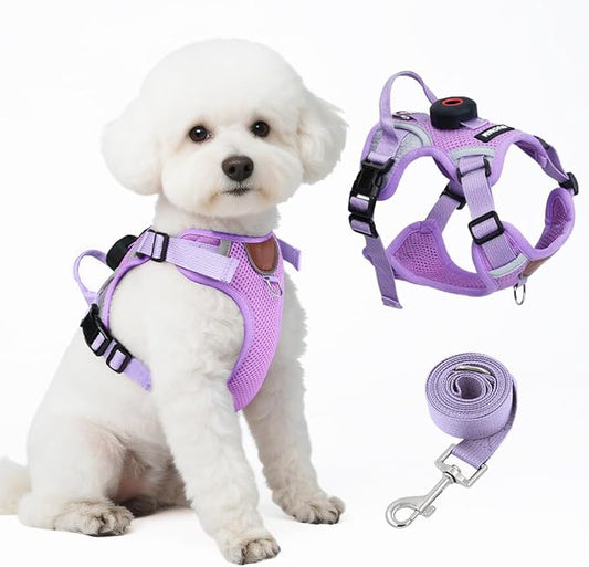 Large Cat Harness and Leash Set with Holder Compatible with AirTag, Upgraded Escape Proof Vest for Extra Large Cats Small Dogs Puppy, Reflective Adjustable Breathable Mesh Walking Jacket, Purple, XL