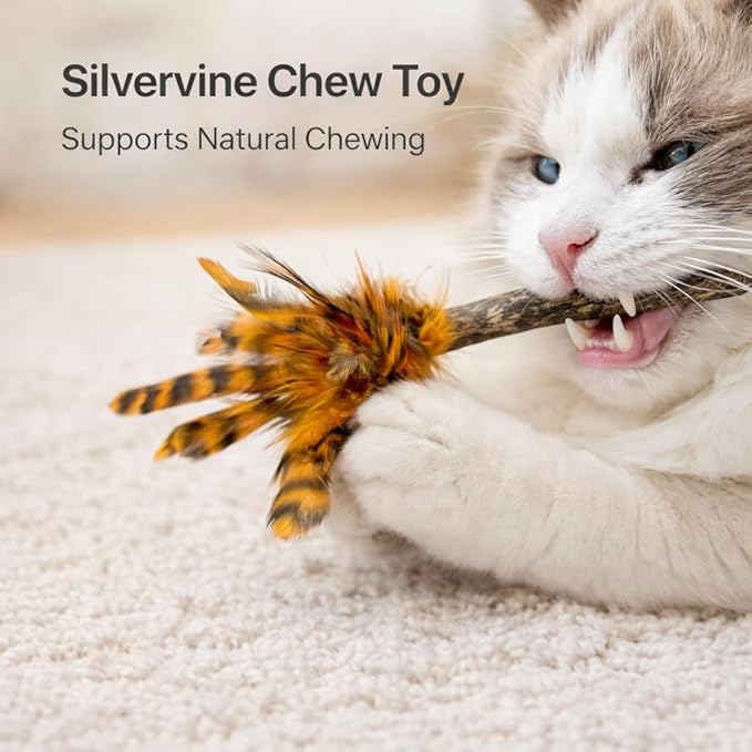 Silvervine Feather Cat Toys, 3 Pack Natural Matatabi Chew Toys for Indoor Cats, 8" Handmade Cat Toy for Chewing & Independent Play, Quiet Indoor Floor Play